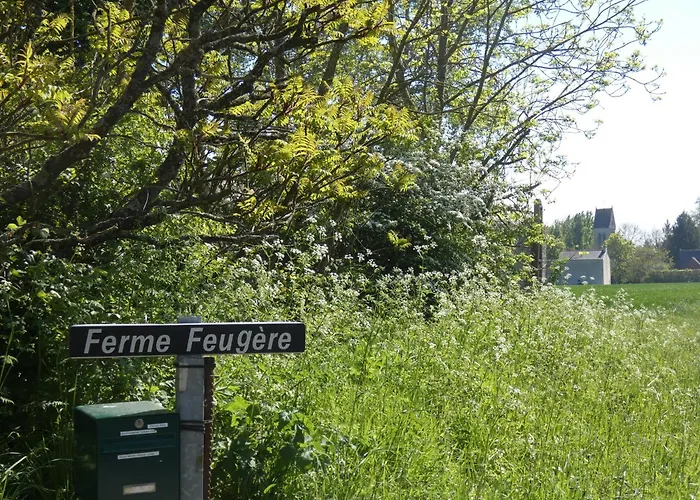 Gite De La Ferme Feugere